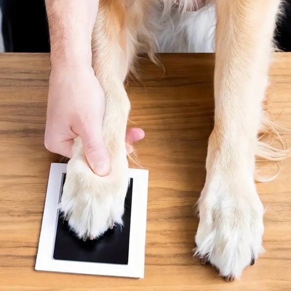 Pet Paw Print Kit w/1 Ink Pad & 2 Imprint Cards, Black Ink, NEW, Kid Fri… - Picture 3 of 5